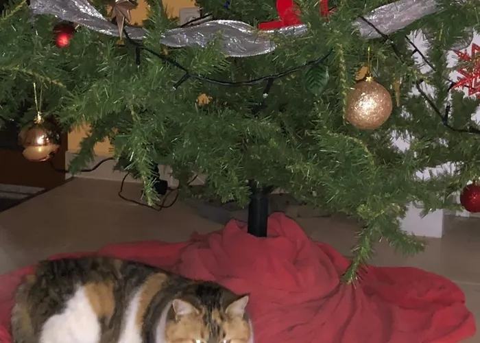 пиперите 别墅